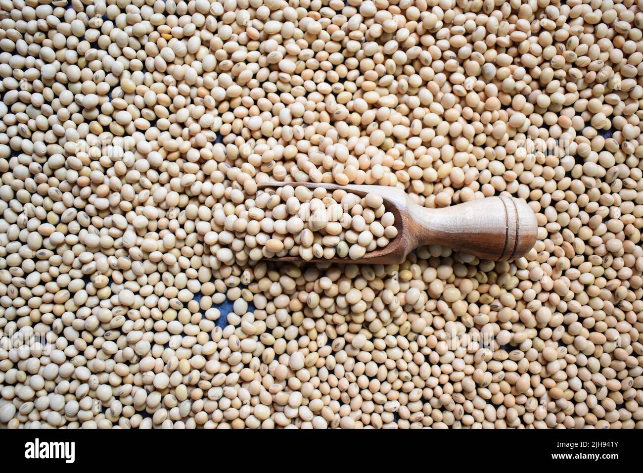 Raw whole dry Soybean legume Stock Photo Alamy