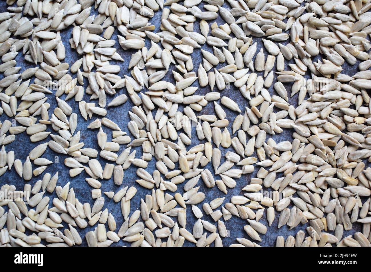 Raw whole dried hulled sunflower seeds Stock Photo Alamy