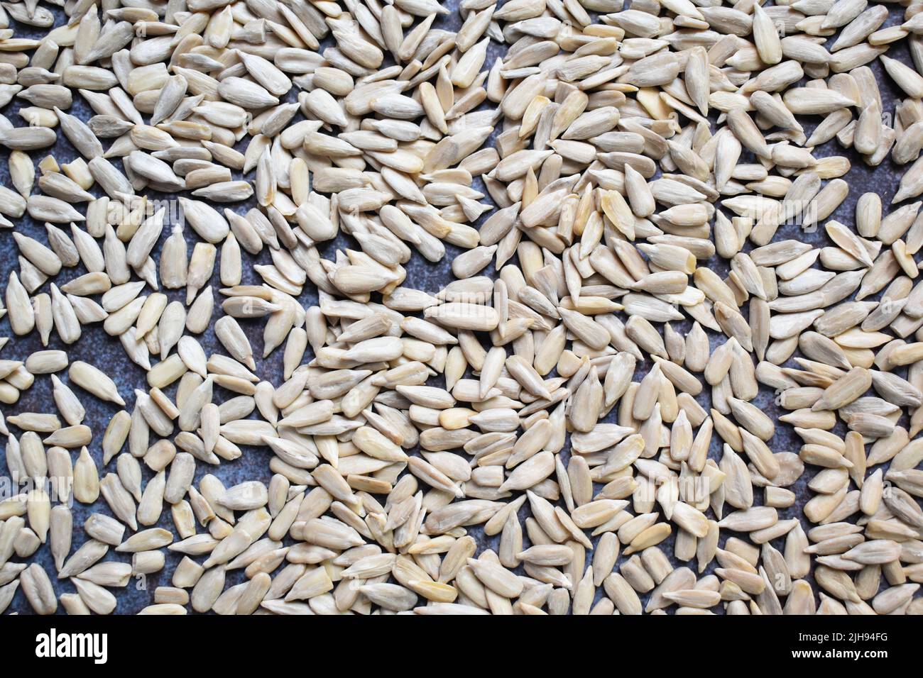 Raw whole dried hulled sunflower seeds Stock Photo Alamy