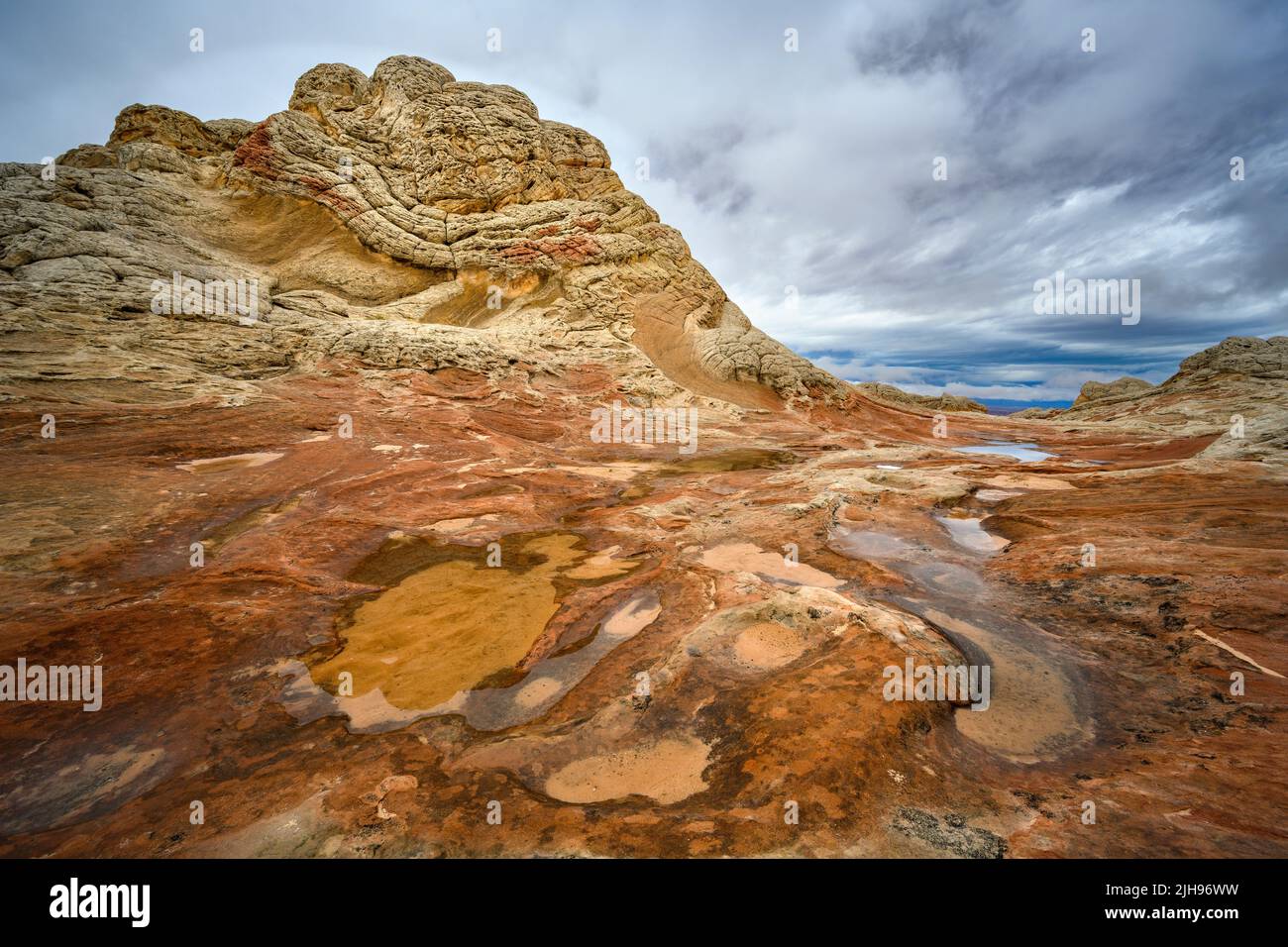 Rain water pockets at White Pocket, Vermillion Cliffs National Monument, Arizona. Stock Photo