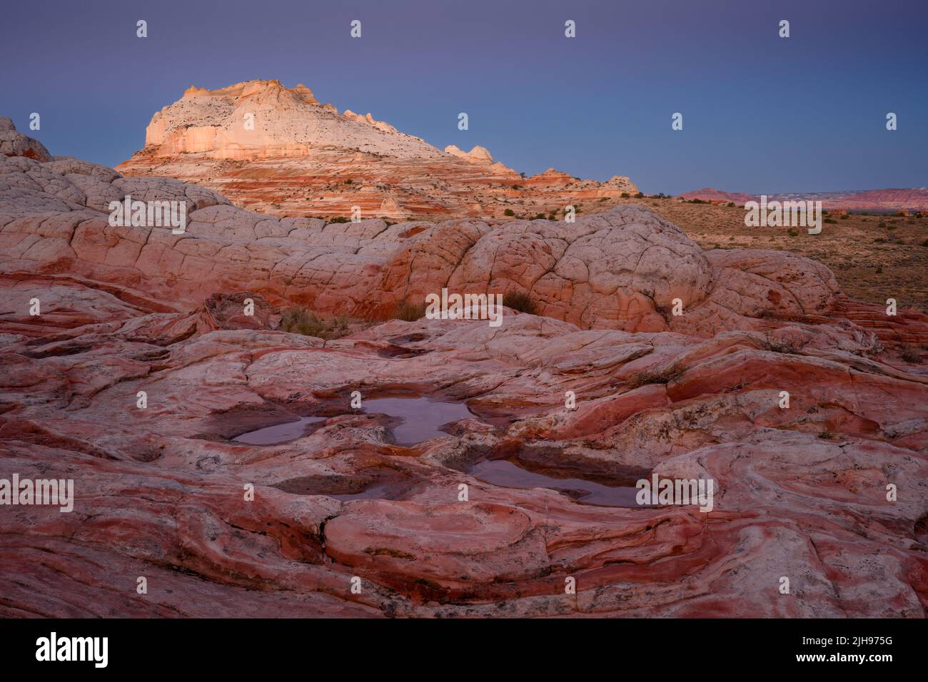 Water pockets, sandstone rock formations, and White Pocket Butte in Vermillion Cliffs National Monument, Arizona. Stock Photo