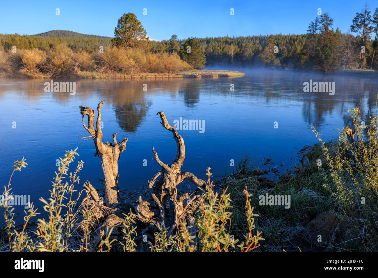 Deschuttes national forest hires stock photography and images Alamy