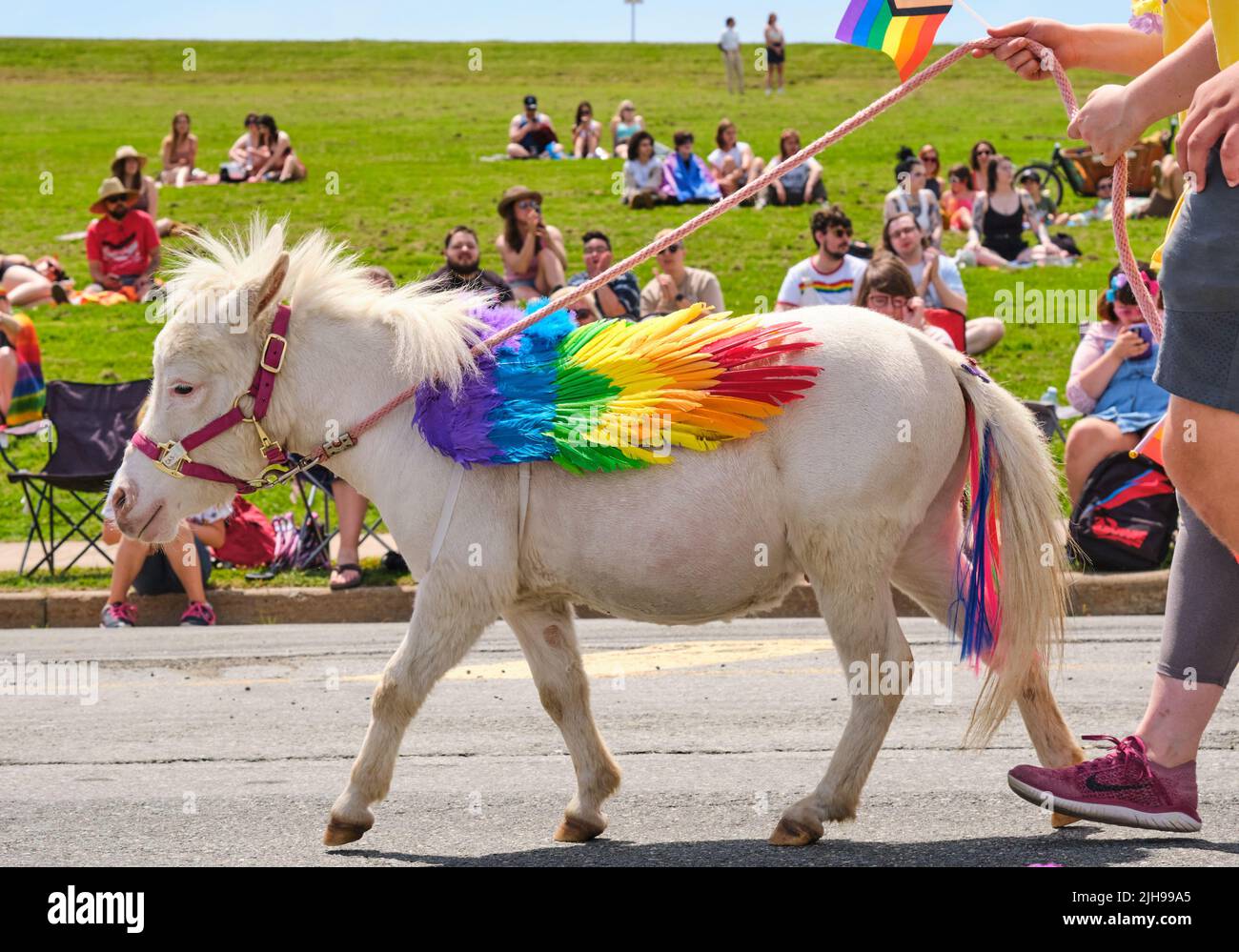 Halifax, Canada. July 16th, 2022. Mini Pagesus walking the 2022 Halifax Pride Parade waves to some of the thousands spectators that lined the course. The Parade returns through the street of the city after two years absence. Credit: meanderingemu/Alamy Live News Stock Photo