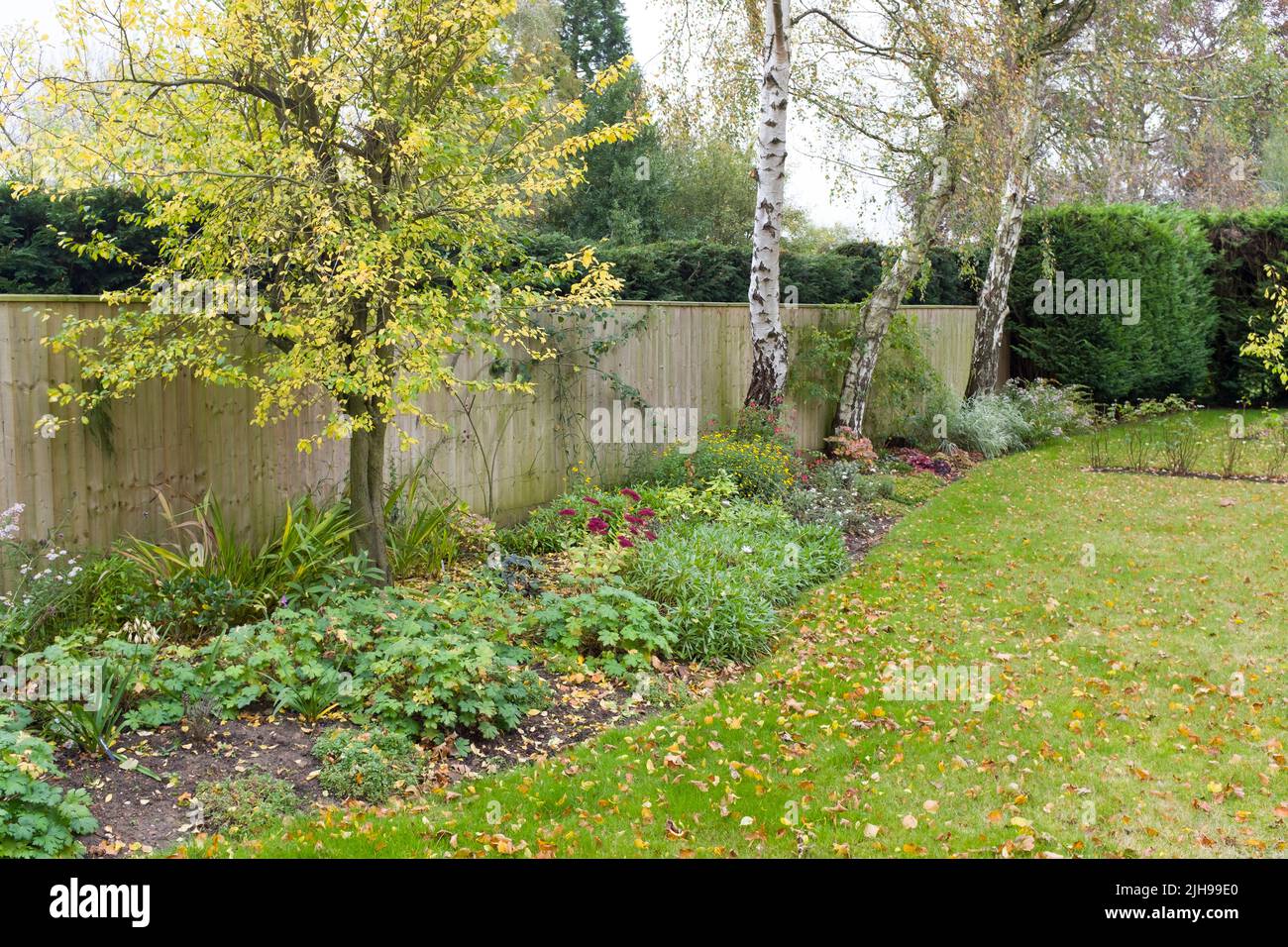 Garden flower bed (flowerbed) and lawn in autumn in a typical English garden, UK Stock Photo