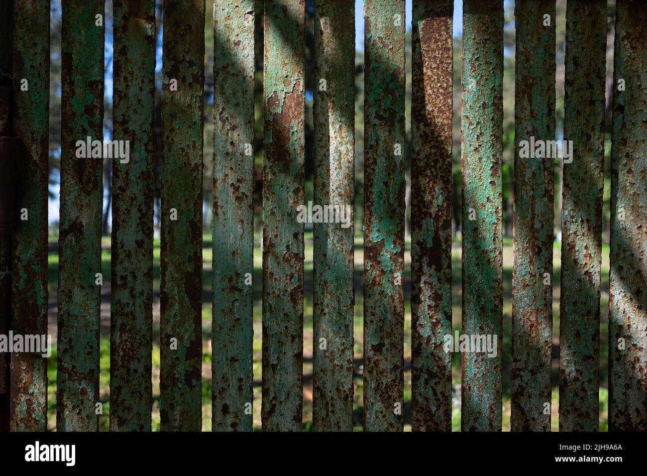 Rusty metal green fence. Background and copyspace. Stock Photo