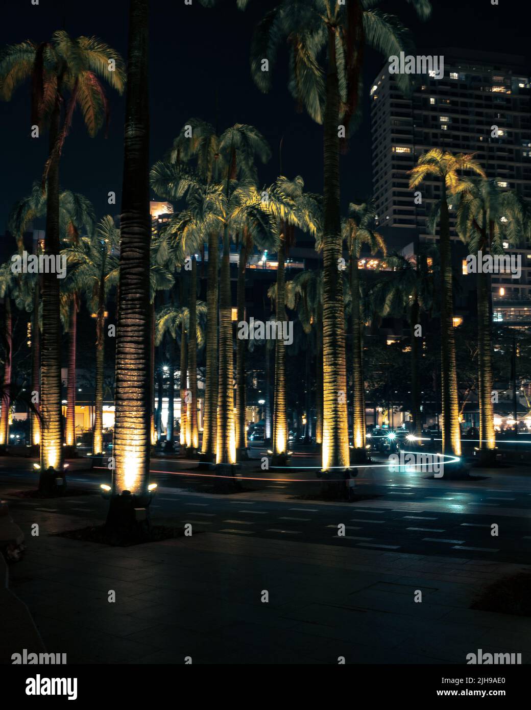 Palm trees modern buildings hi-res stock photography and images - Alamy