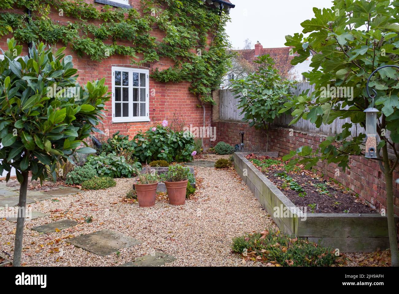 UK garden in autumn, landscaped with York stone stepping stones and gravel Stock Photo