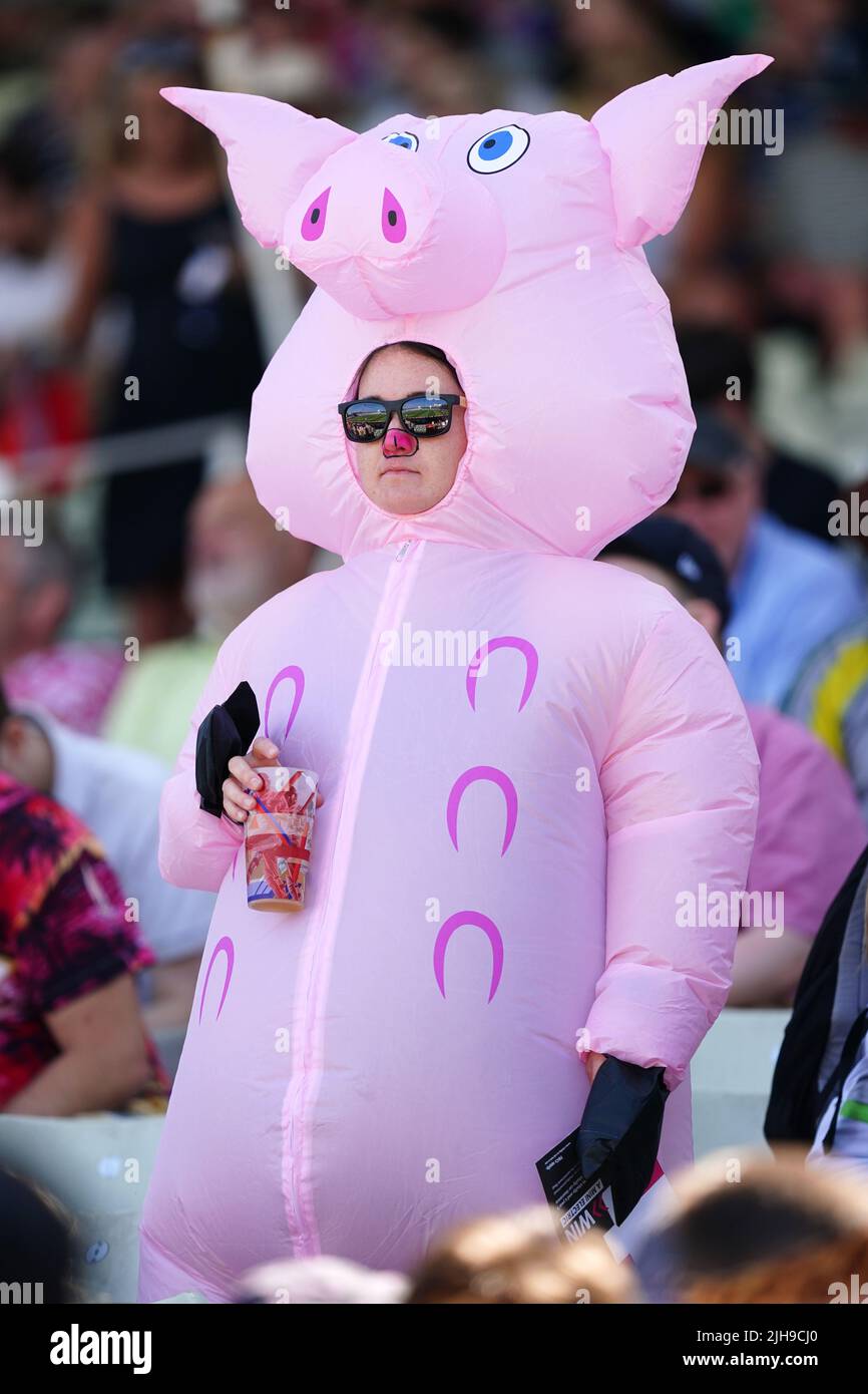 Cricket spectator fancy dress hi-res stock photography and images - Alamy