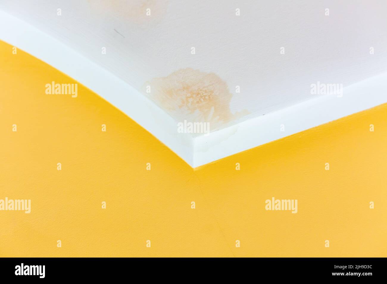 Mold and smudges on the ceiling of a new house with yellow walls Stock