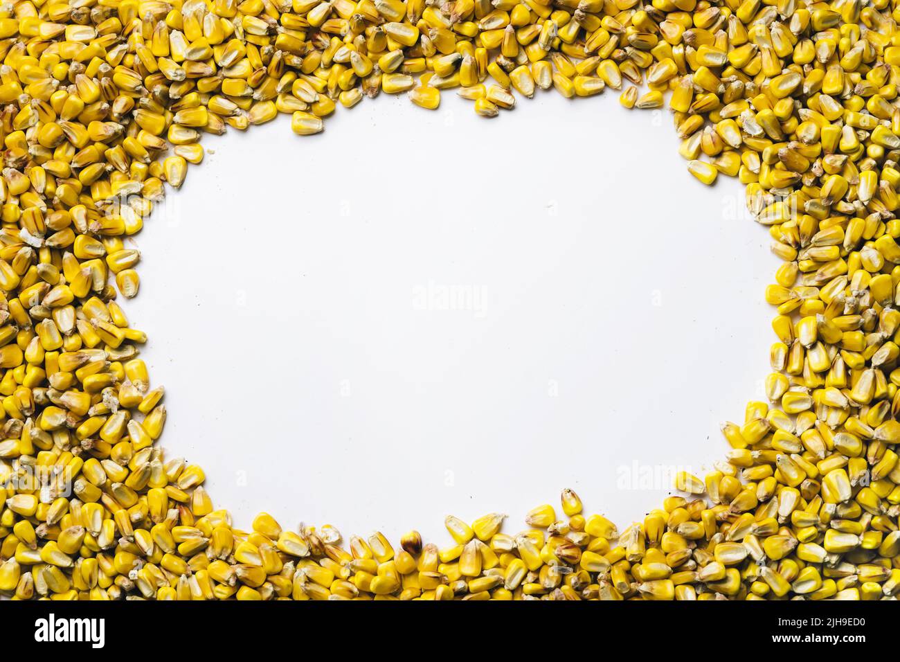 Dry corn grains background captired from above. Copy space. Global and European grain and wheat crisis after Russia's invasion of Ukraine 2022 Stock Photo