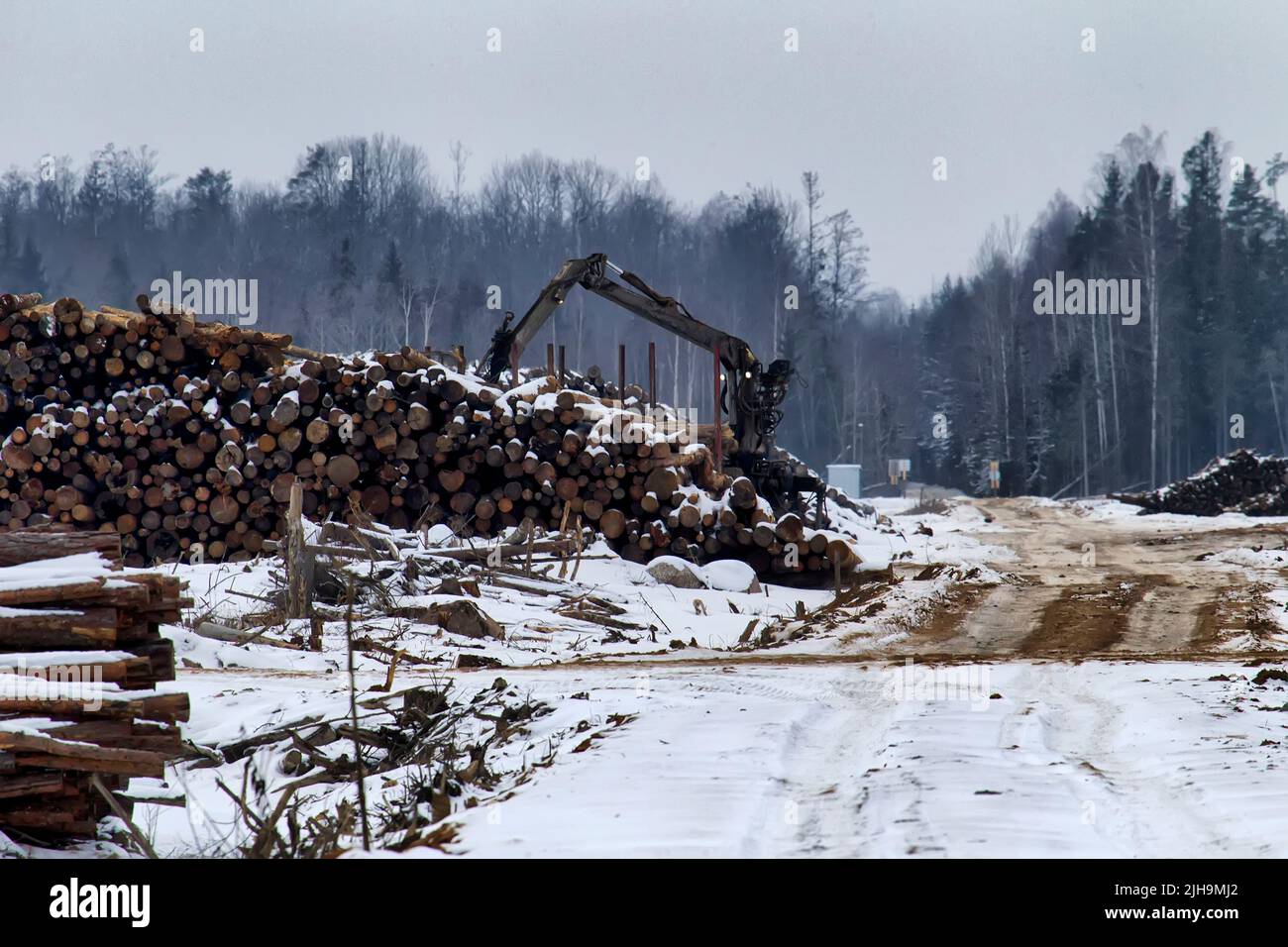 Forestry industry. Timber yard. Operations for loading-unloading logging truck with roundwood. Wheel-mounted loader, round-timber grab. Winter cutting Stock Photo