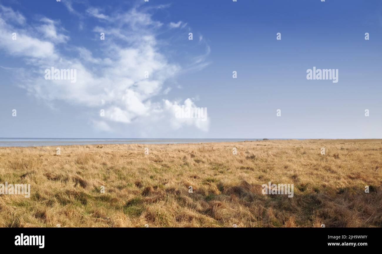Landscape of a dry open field by the sea in the East coast of Kattegat, Jutland, near Mariager fjord, Denmark showing change in season. Springtime in Stock Photo
