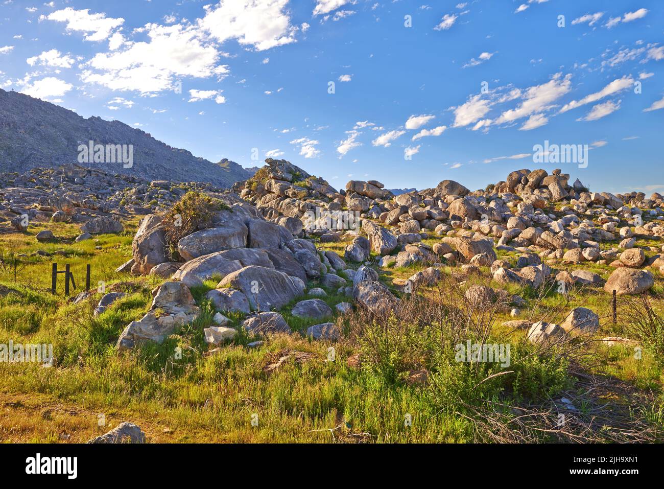 Rocks and boulders in an uncultivated, rough hiking terrain on Table Mountain, Cape Town, South Africa. Lush green bushes and shrubs growing among Stock Photo