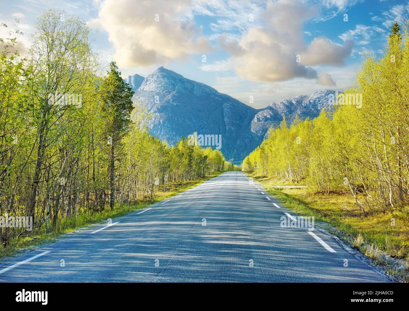 Empty road surrounded trees in hi-res stock photography and images - Alamy