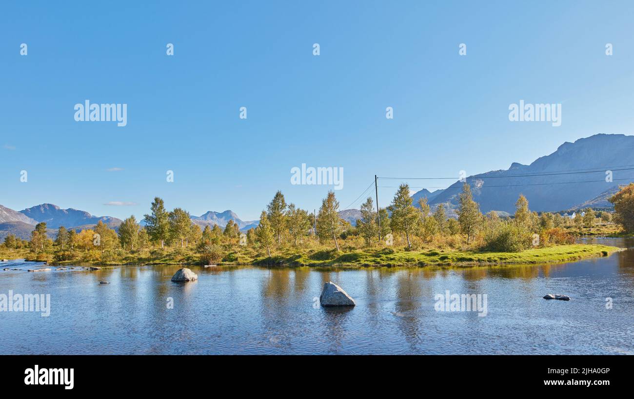 Trees around a lake hi-res stock photography and images - Alamy