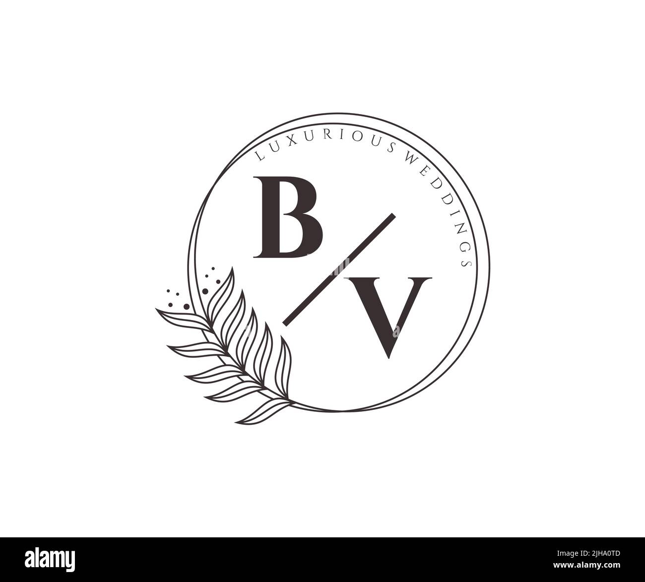 BV Initials letter Wedding monogram logos template, hand drawn modern ...
