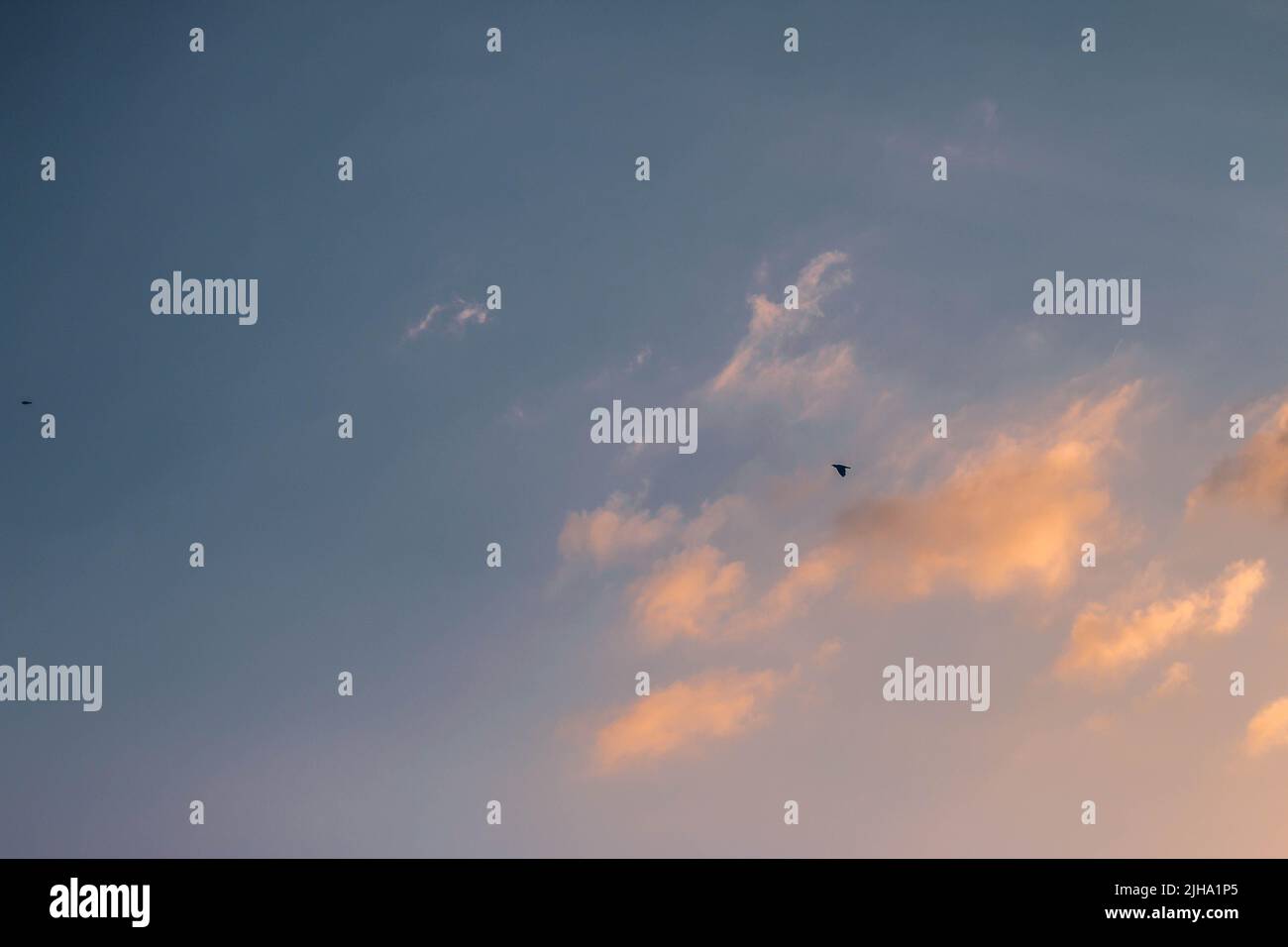 Birds flying in colorful clouds hi-res stock photography and images - Alamy
