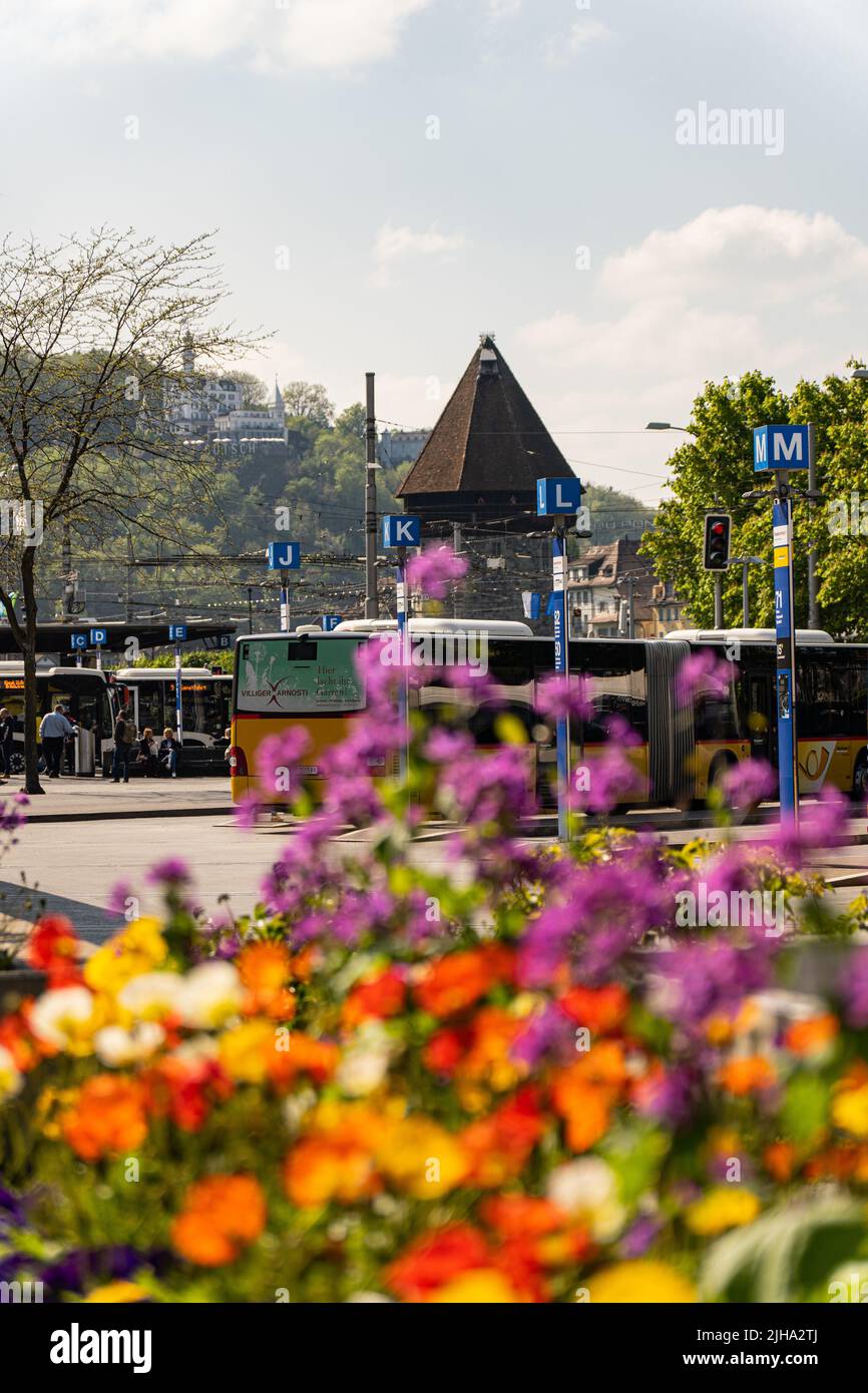 LUZERN SIGHTSEEING BUS visual data 2
