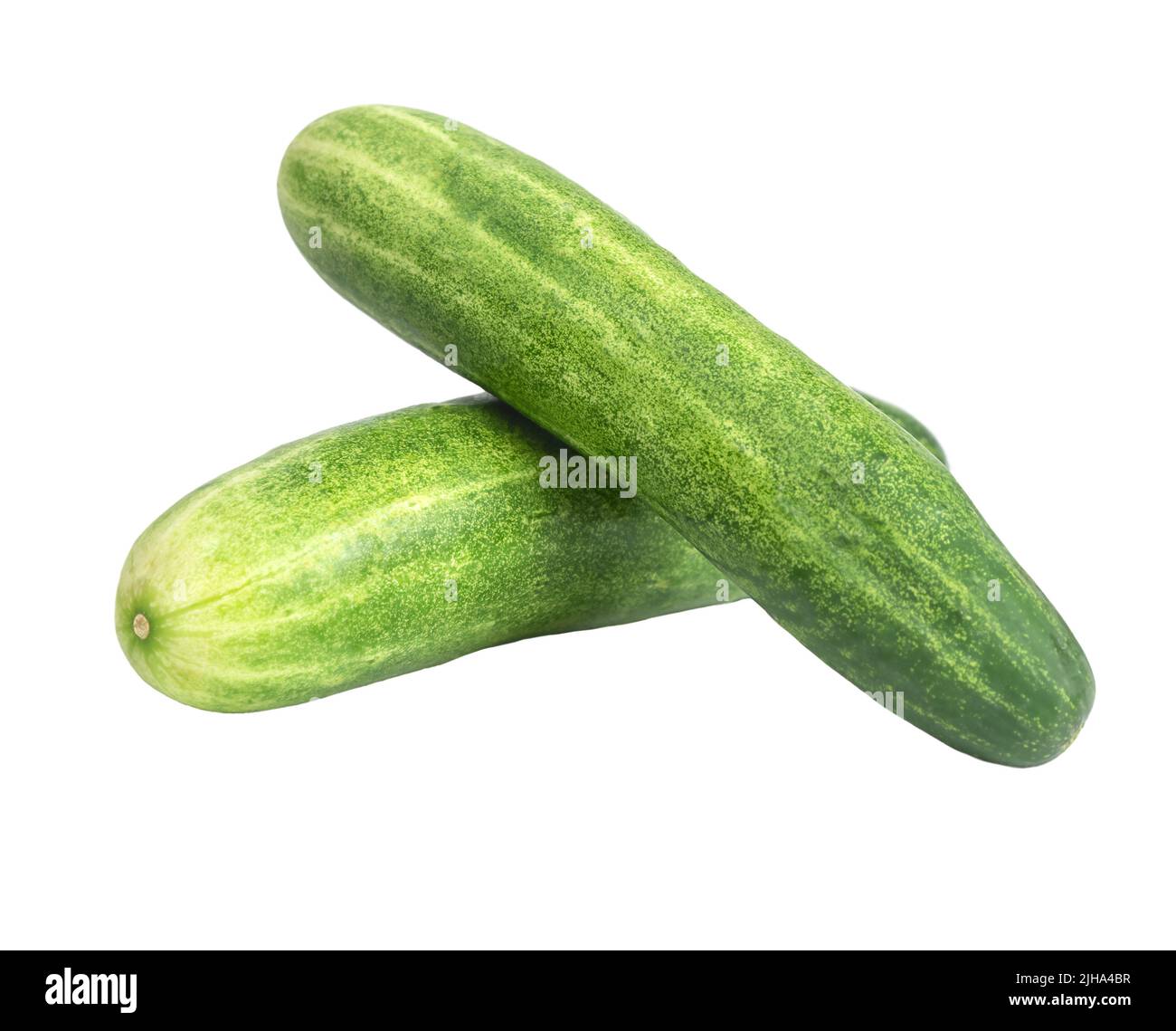 Two fresh cucumbers isolated on white background Stock Photo