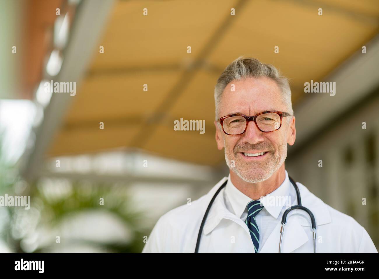 Portrait of a mature handsome doctor at a medical office. Stock Photo