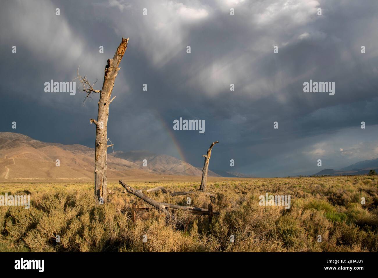 Thunderstorms around Bishop and the Eastern Sierra of California produce thunder, lightning, rainbows and dramatic skies. Stock Photo