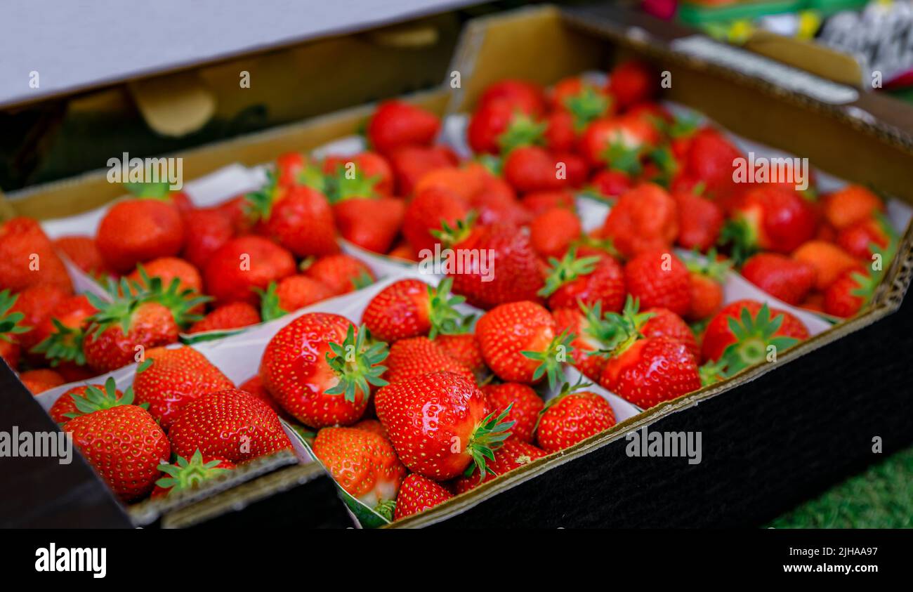 Ripe red strawberries on a stand at a local outdoor farmers market Cours Saleya in the Old Town, Vieille Ville in Nice, French Riviera, France Stock Photo