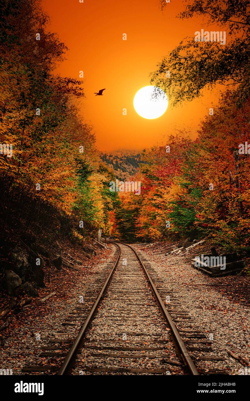 Train tracks at sunset in autumn with sunshine Stock Photo