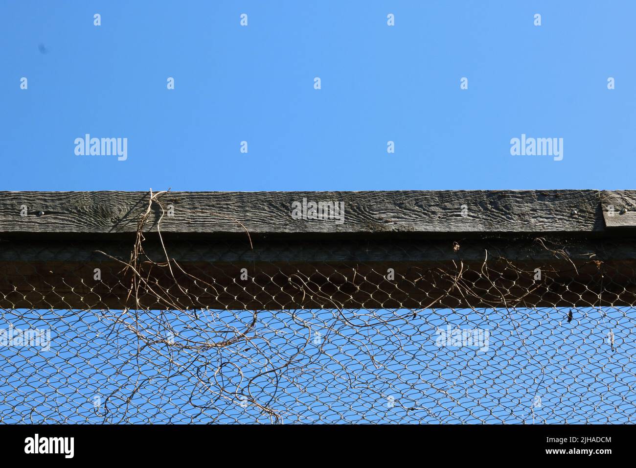Top of wood and metal chicken wire cage or enclosure Stock Photo Alamy