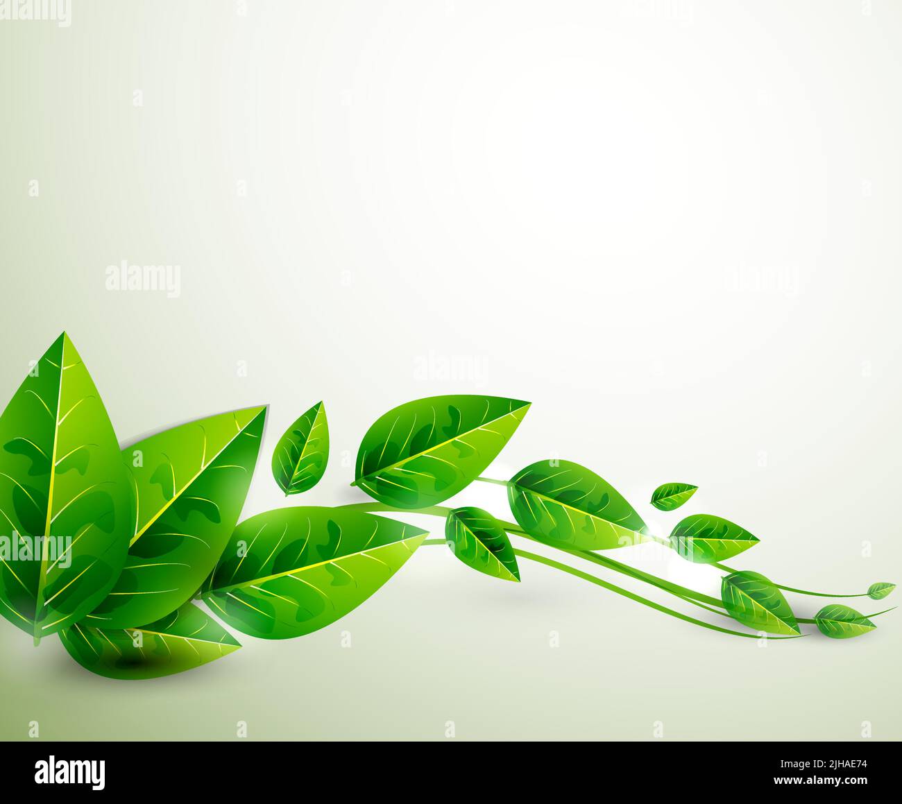 Vector green leaves abstract background Stock Vector Image & Art Alamy