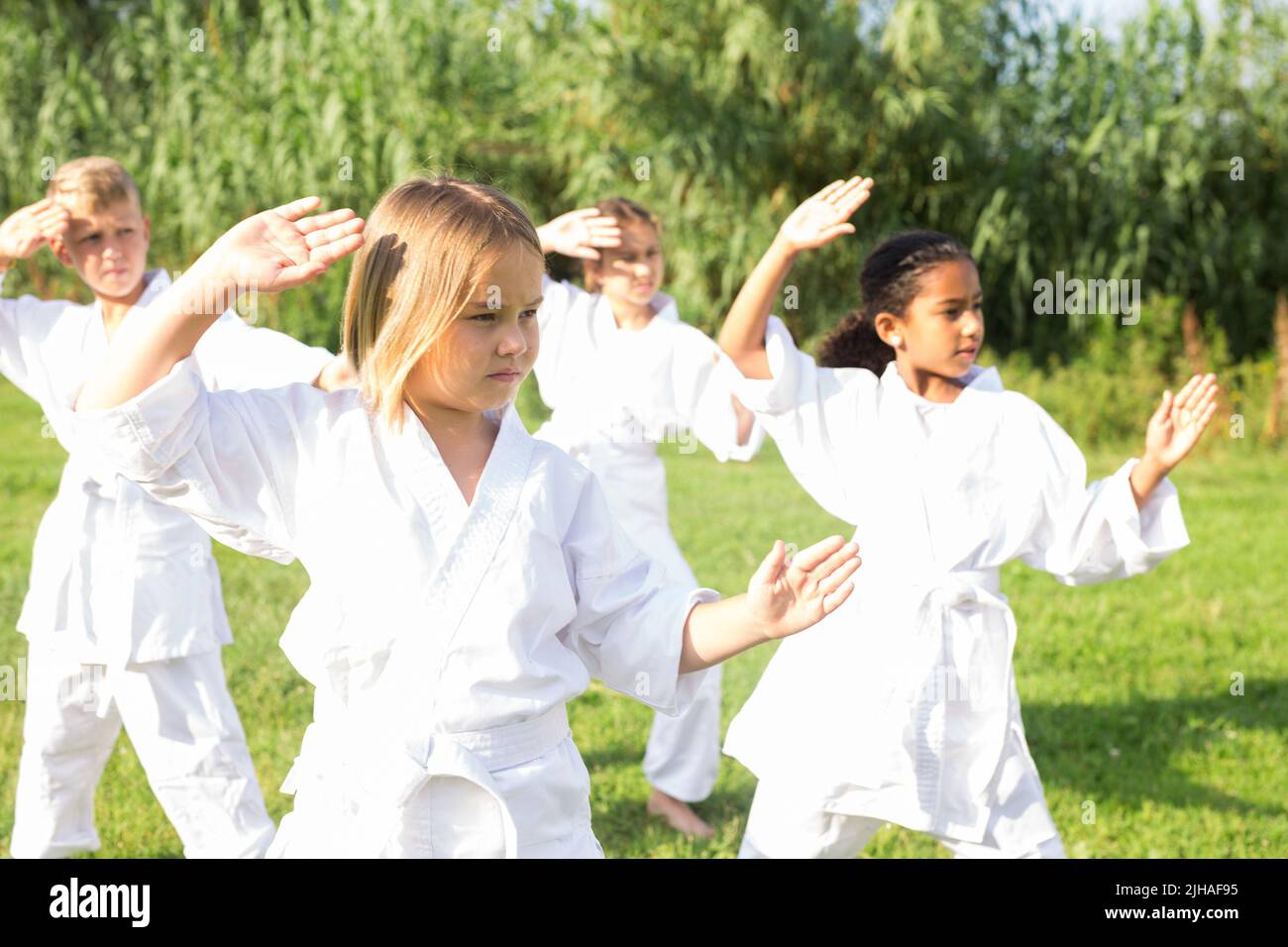 Group of children exercising in karate and traditional martial arts outdoor Stock Photo Alamy