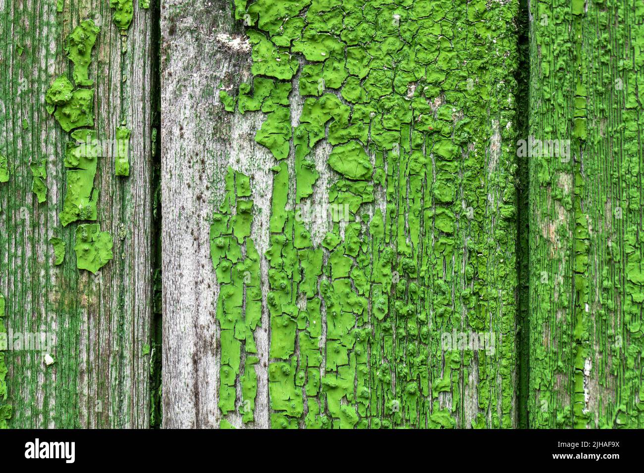 Old green grungy wooden wall with peeling paint, background photo ...
