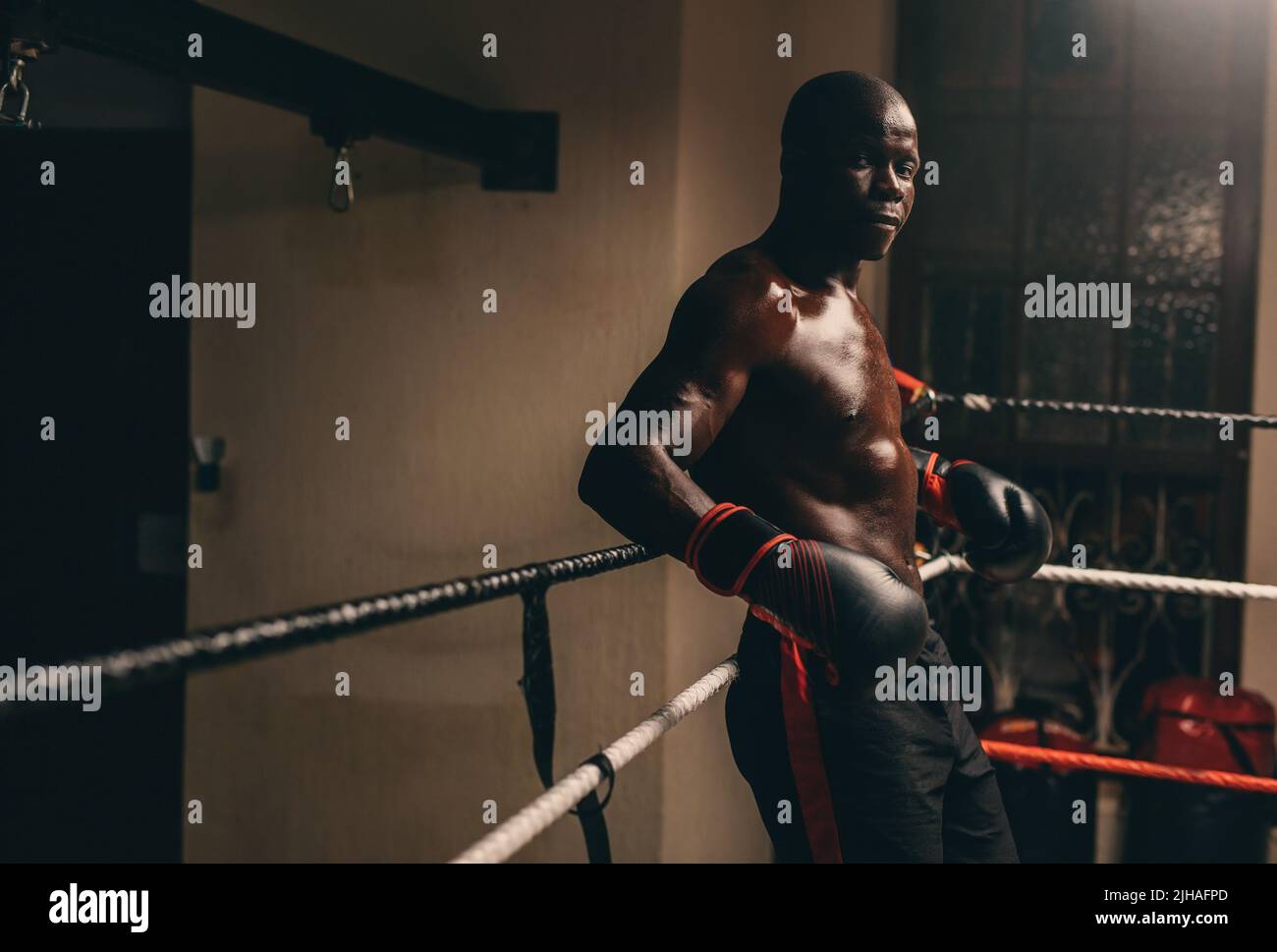 Muscular African Boxer Posing, Naked Shot In Studio Stock Photo, Picture  and Royalty Free Image. Image 21429470.