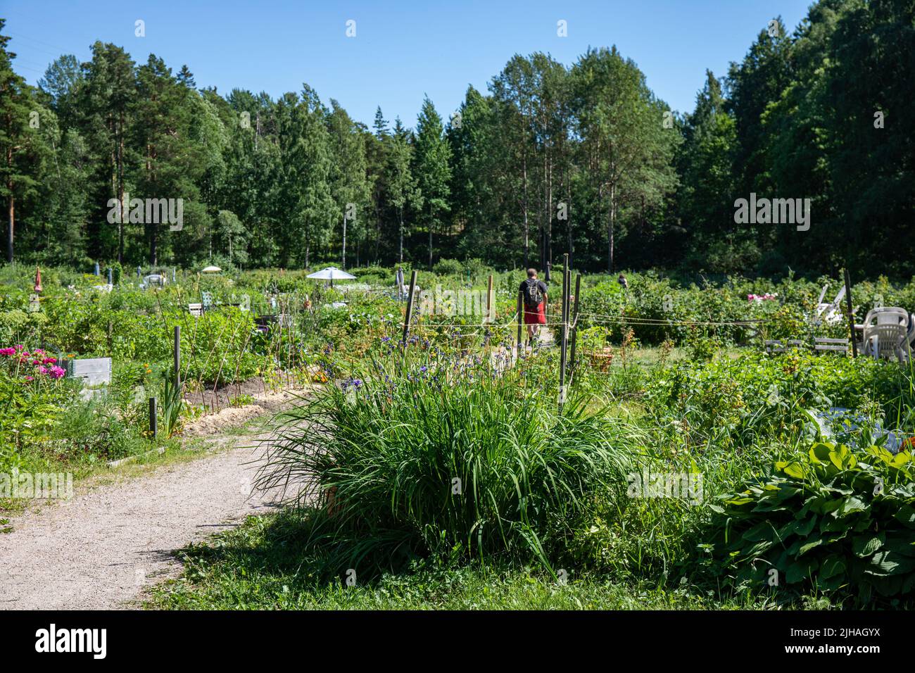 Meilahti allotment garden in Vähä-Meilahti district of Helsinki, Finland Stock Photo