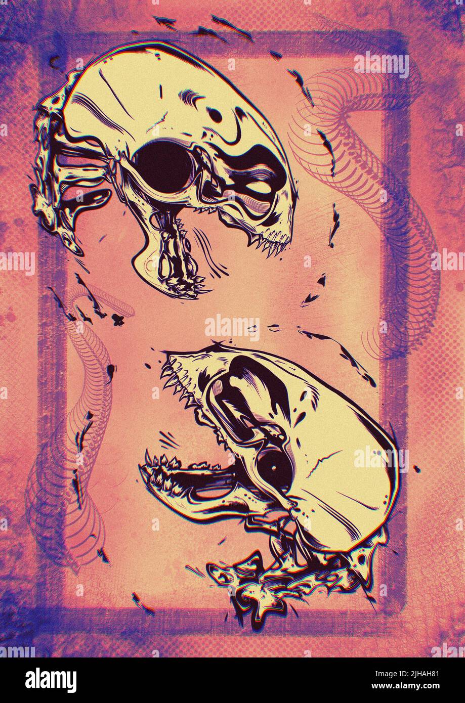 Bold Snake Skull Illustrated Tattoo Poster Art Print. Anatomy Drawing Design. Stock Photo