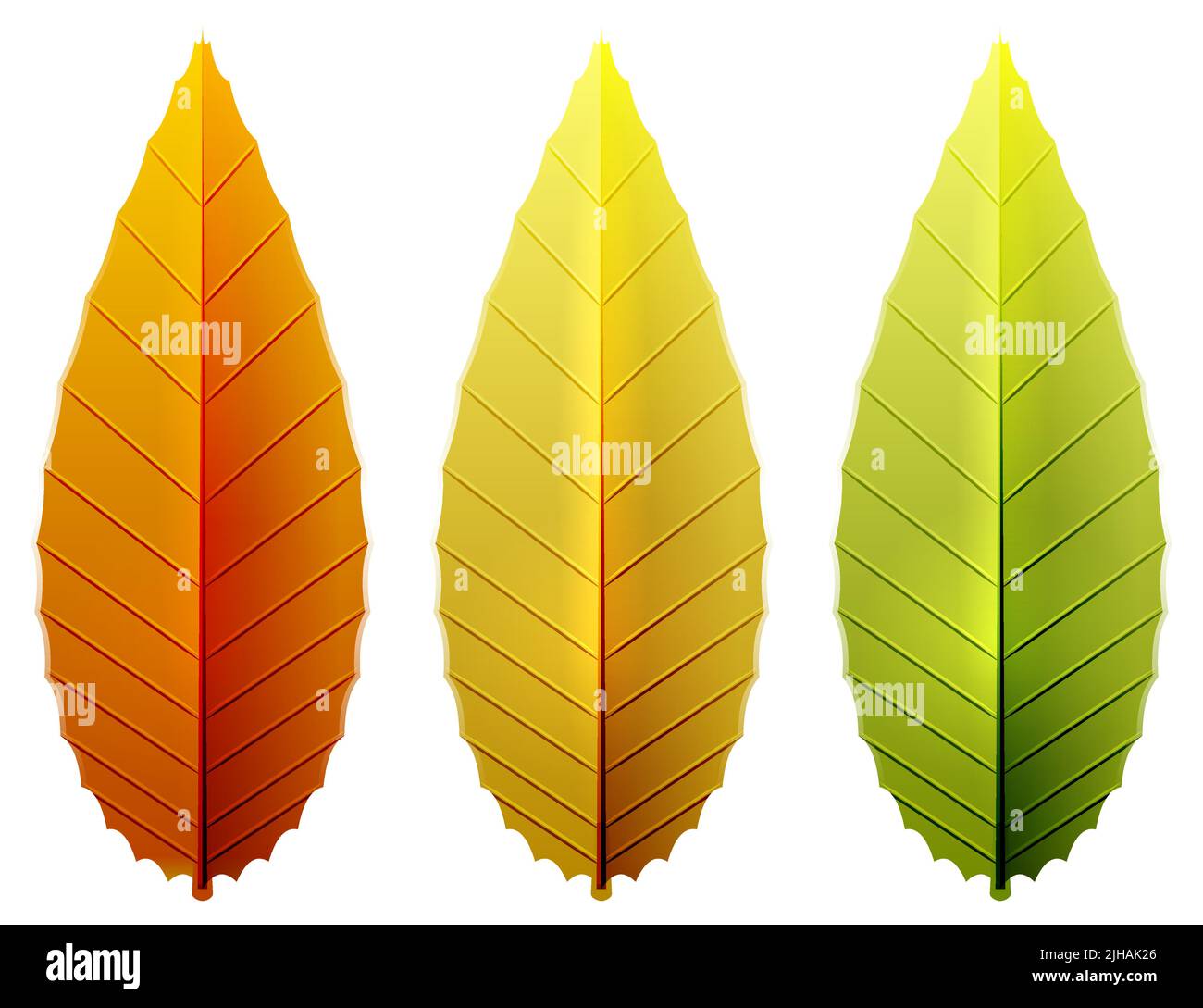 Zzzaapaaamhdgfhcgchcgfgchghhgbgfhg vector vectors hi-res stock ...