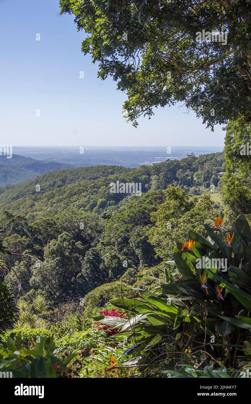 View from garden on top of Tamborine Mountain, 500m high, over subtropical rainforest to the Pacific Ocean on the horizon. Queensland, Australia. Stock Photo