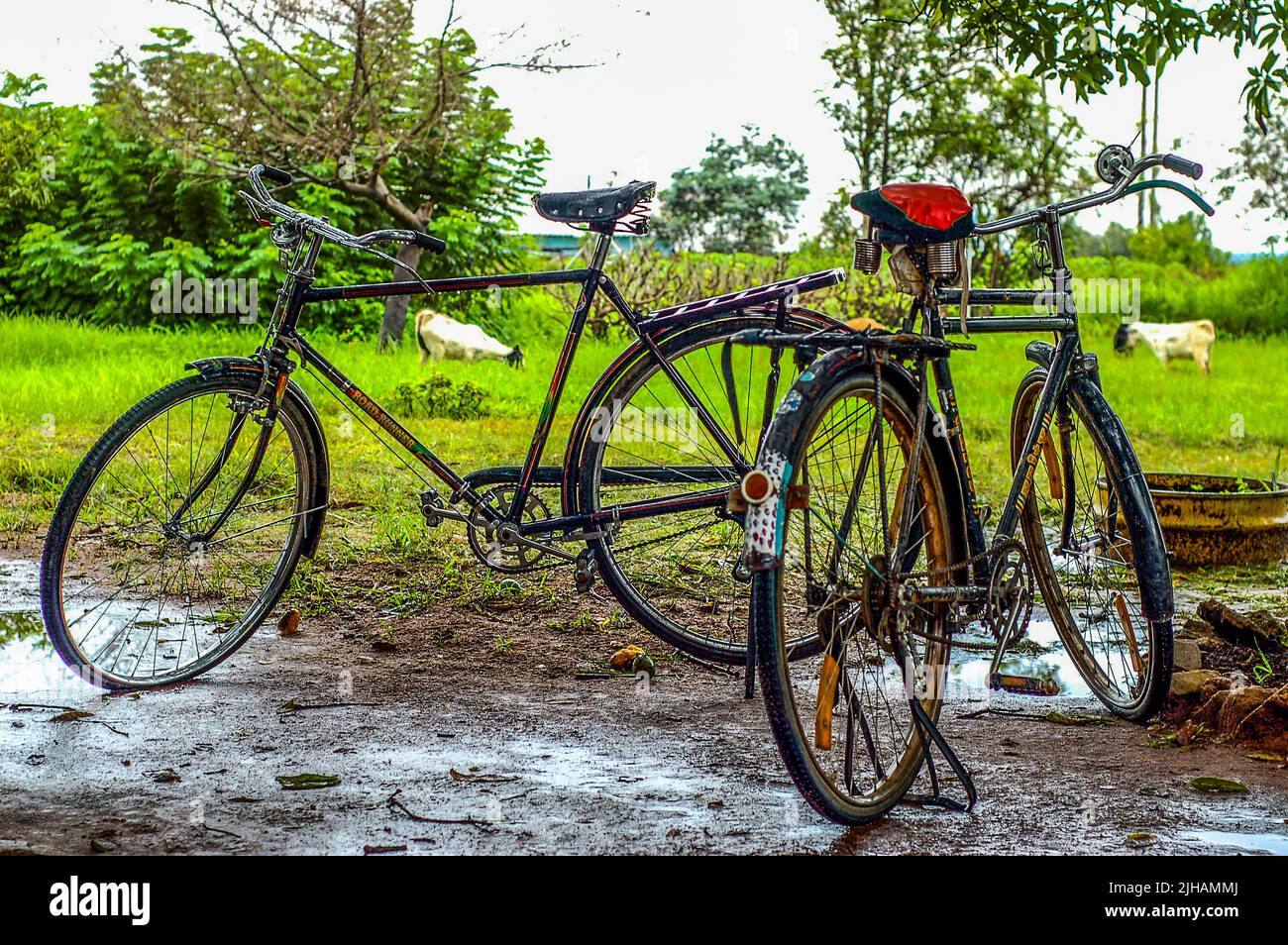 Two bicycles on a yard in Zambia Stock Photo Alamy