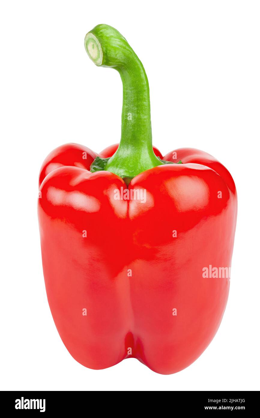 Paprika. Pepper red. Bell pepper isolated on white background. Sweet