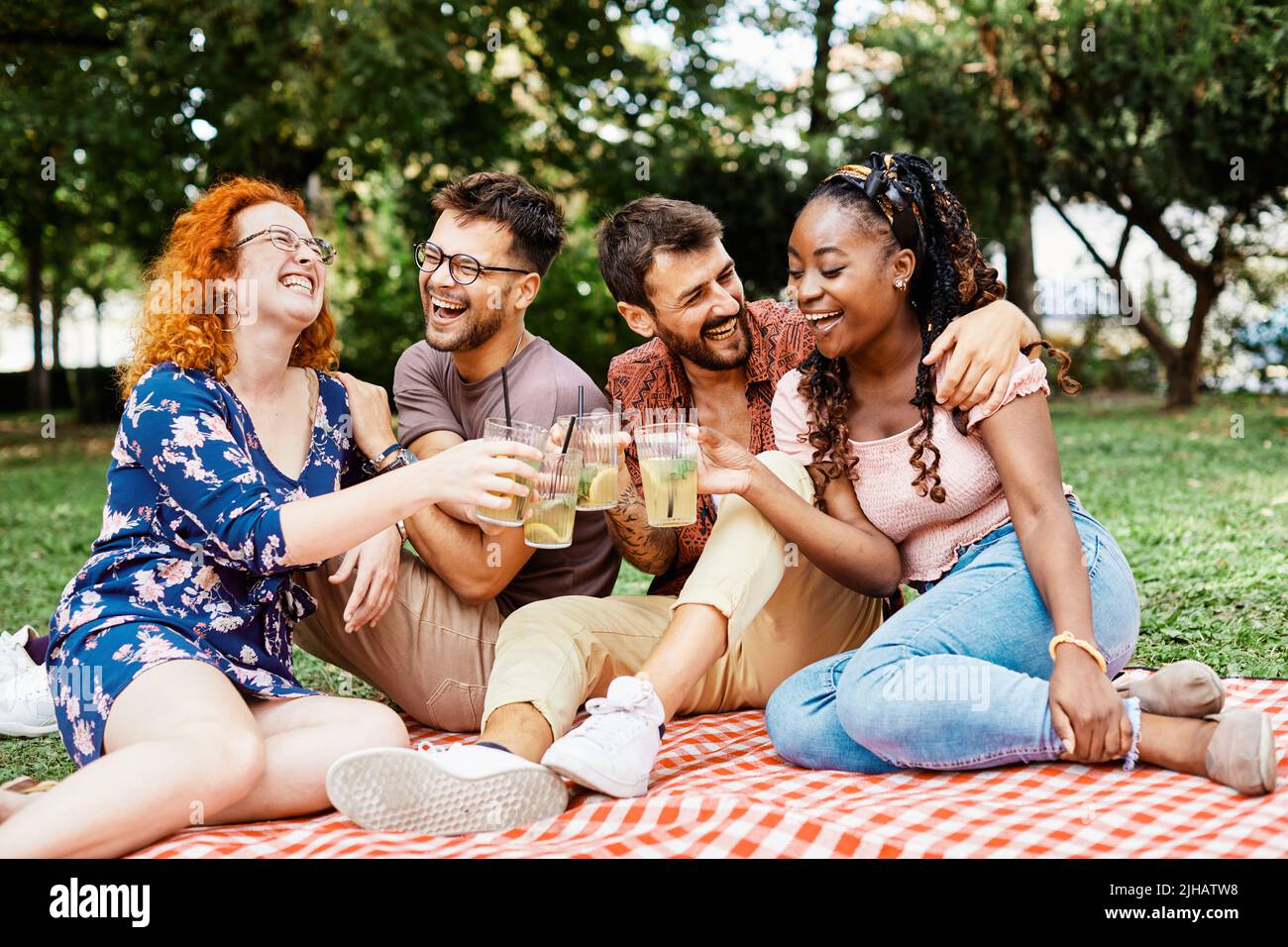 picnic fun outdoor woman friend summer friendship man lifestyle smiling happy toast party couple Stock Photo