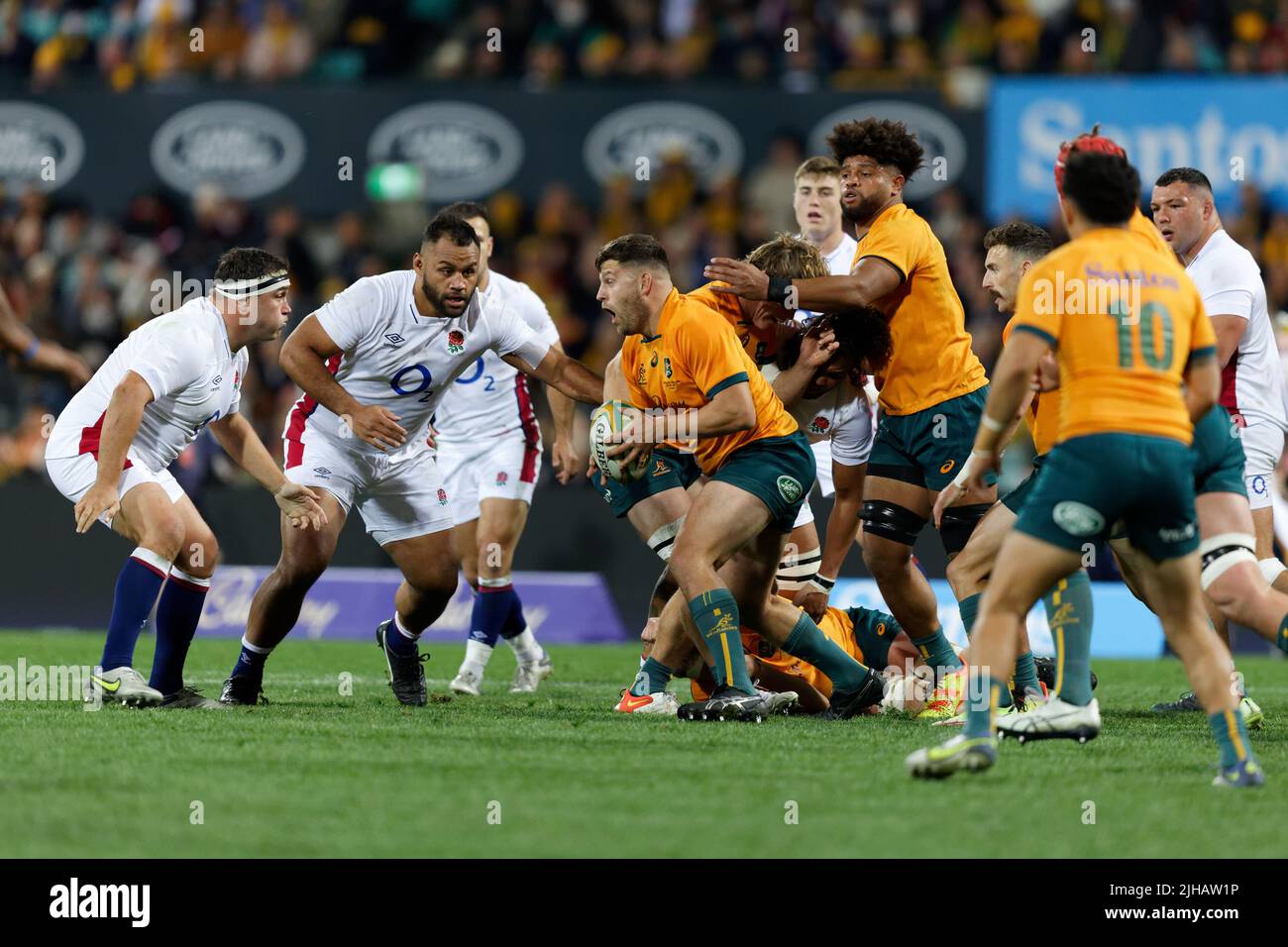 SYDNEY, AUSTRALIA JULY 16 David Porecki of the Wallabies with the