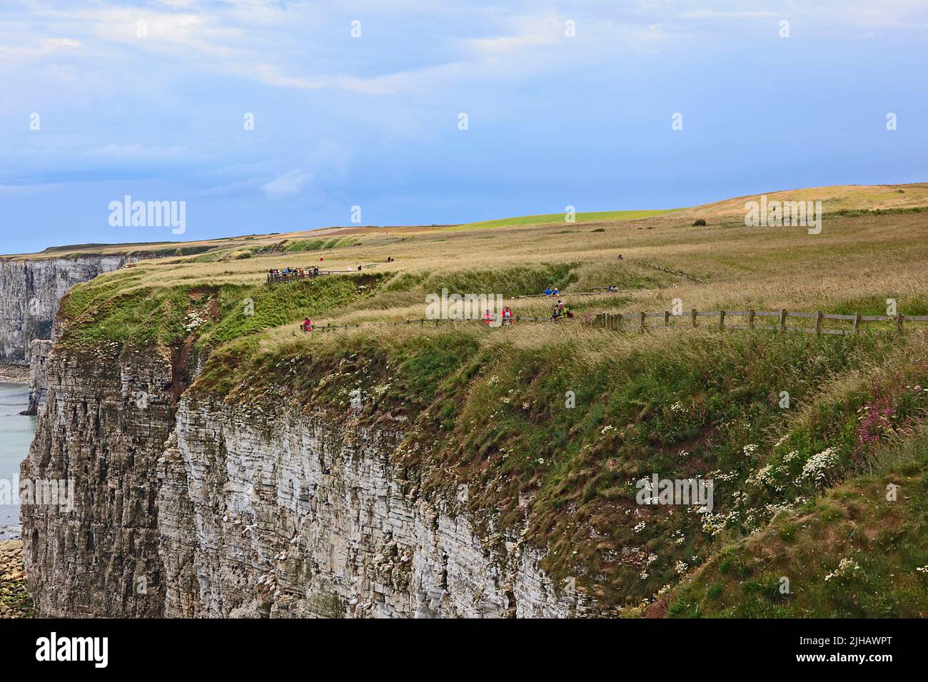 Bempton Cliffs on the Yorkshire Coast England Stock Photo
