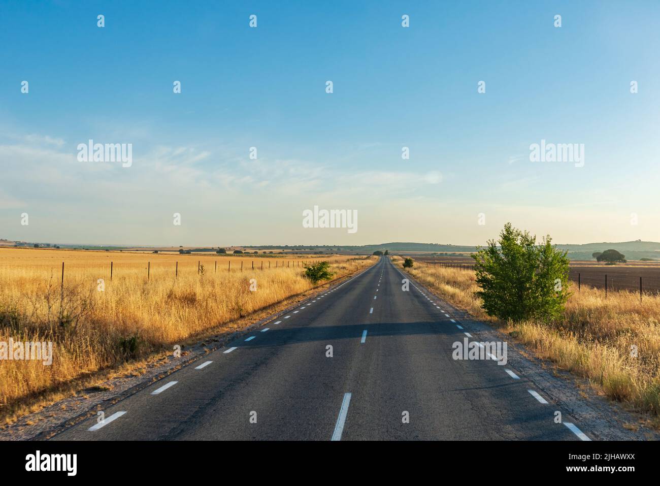 Straight of a regional road between cereal fields in Castilla la Mancha. Stock Photo