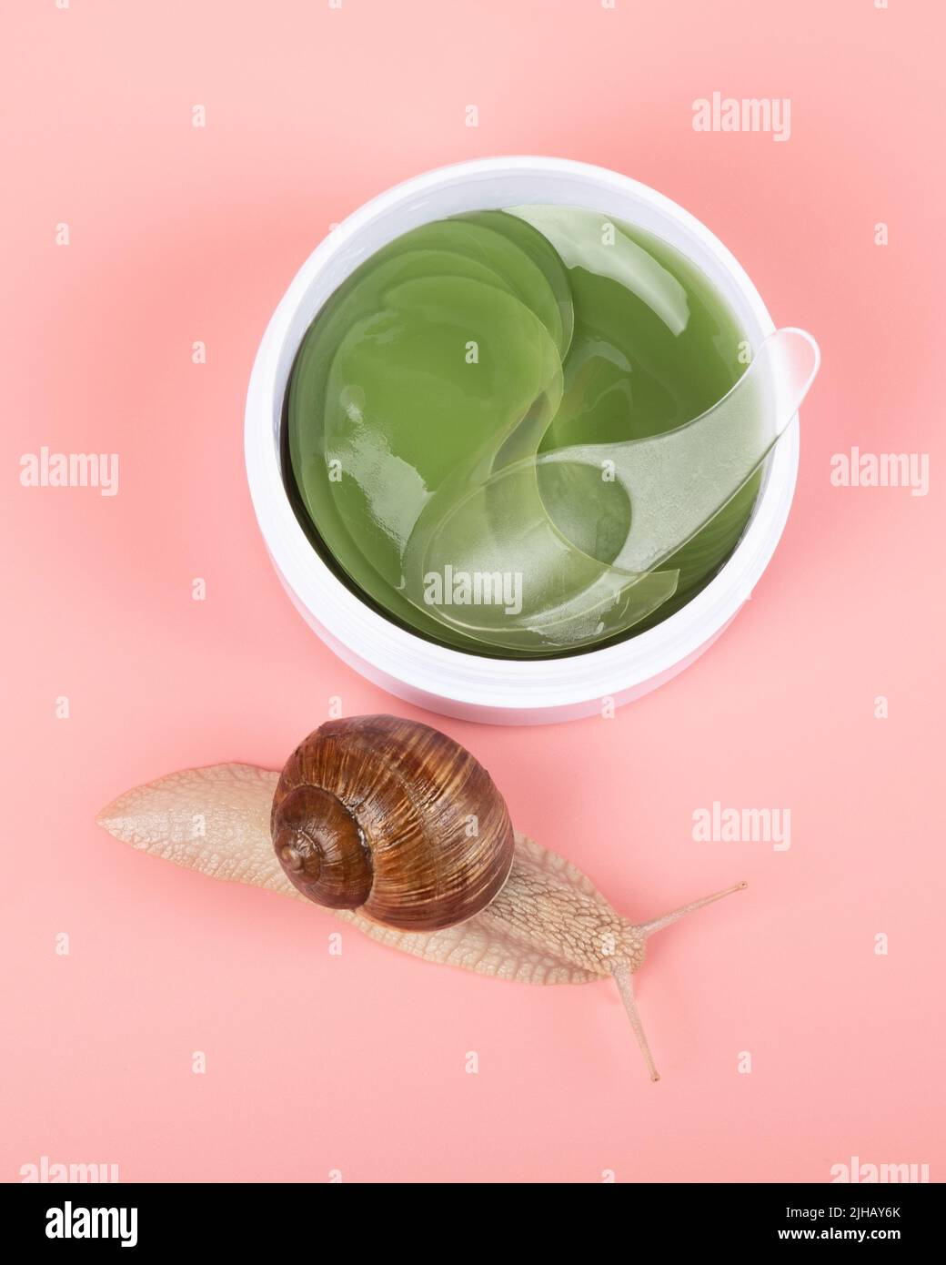snail and container with cosmetic patches for the eyes with the