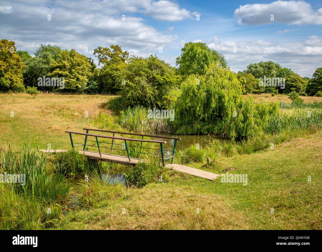 Bordesley Abbey Meadows surrounding the ruins in Redditch