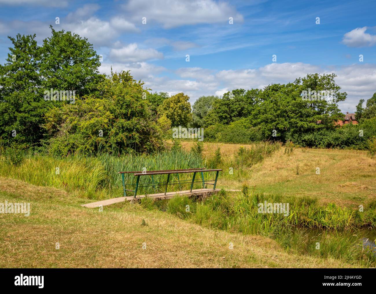 Bordesley Abbey Meadows surrounding the ruins in Redditch