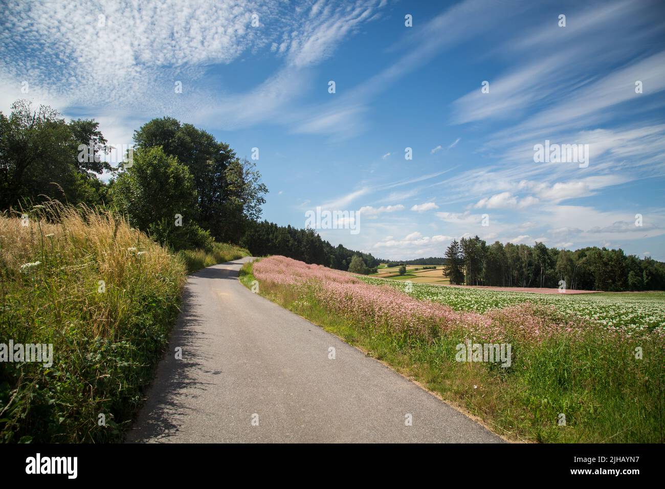 Typical Waldviertel landscape Fields, meadows and forest Hiking