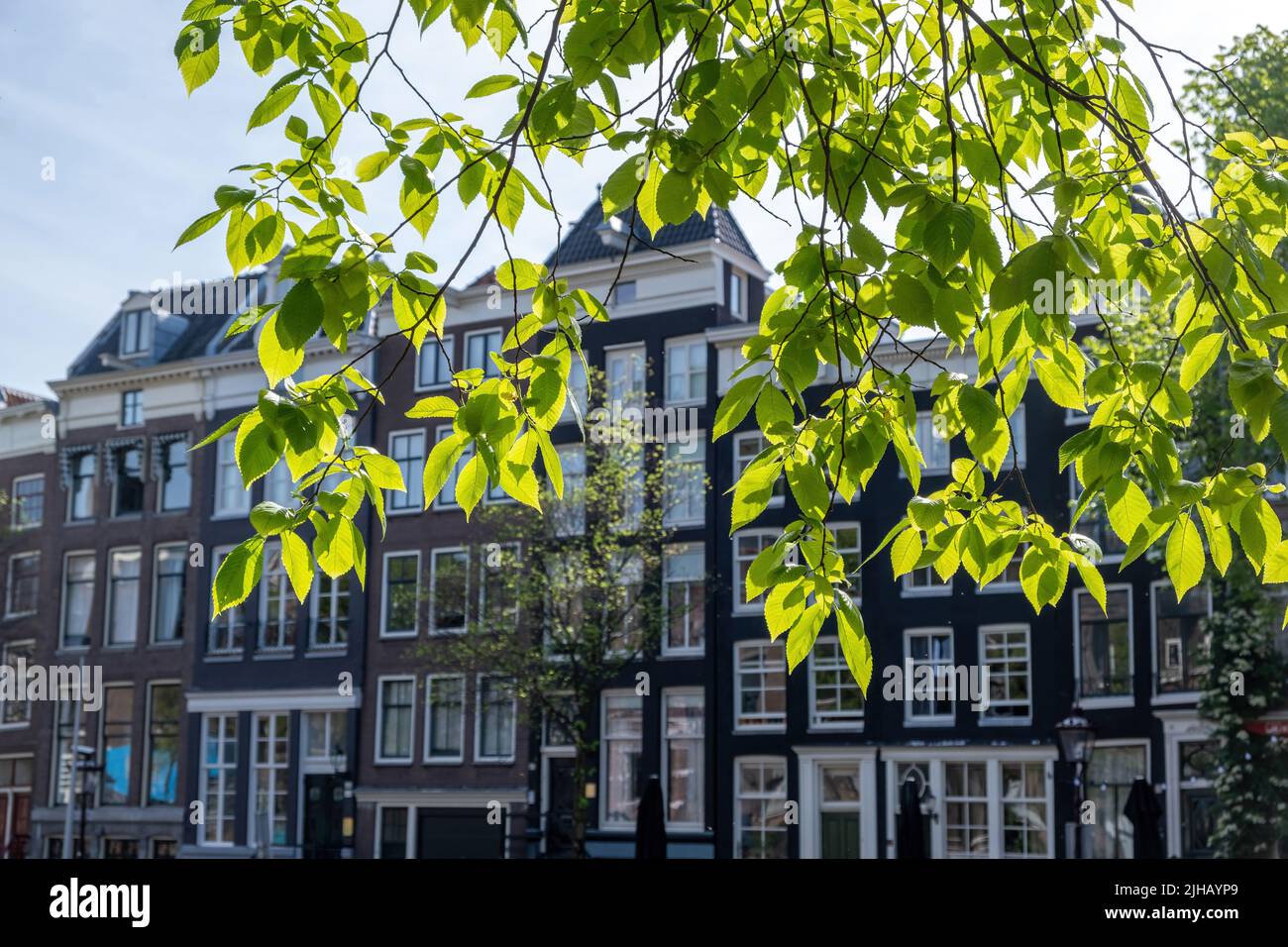 Amsterdam residential neighborhood. Traditional tile roof house, brick wall facade and large
