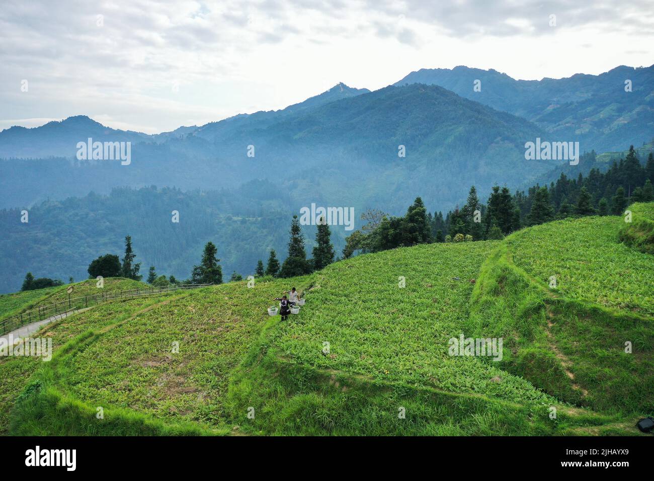 Rongjiang. 16th July, 2022. Aerial photo taken on July 16, 2022 shows villagers transporting
