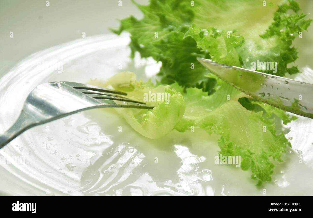 fork stabbing and knife slice to fresh lettuce with drop of water on