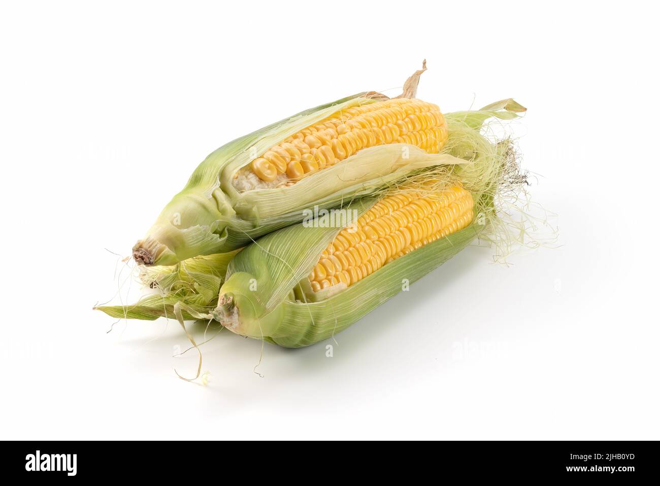 Fresh corn on cobs isolated on bright background. Close up view. Stock Photo